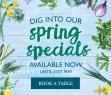 list_20170426101403-spring offers.jpg